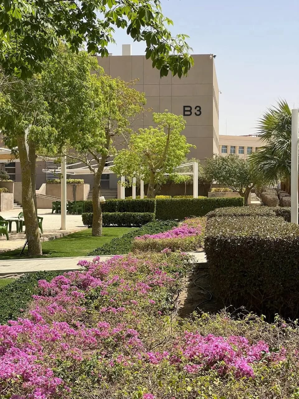 فندق رافلز والمساكن الفندقية