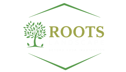 تصميم بدون عنوان (1)